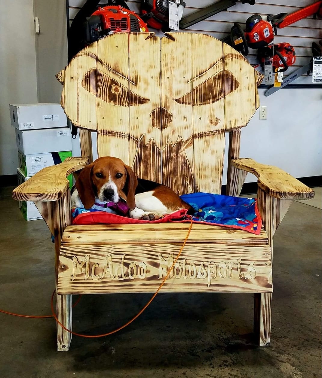 Comfy dog in awesome McAdoo Motosports chair.